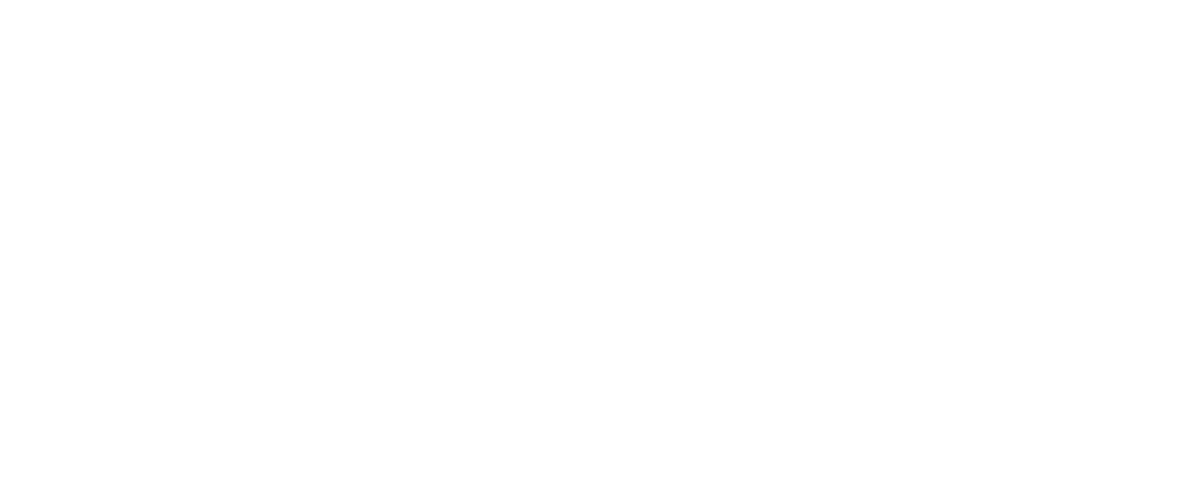 AGN Logo