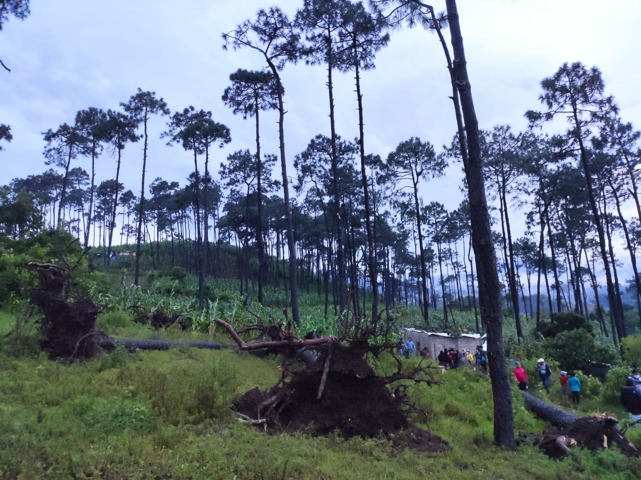 Conred asiste a los afectados por lluvia en Alta Verapaz, Chimaltenango, Petén y Quiché