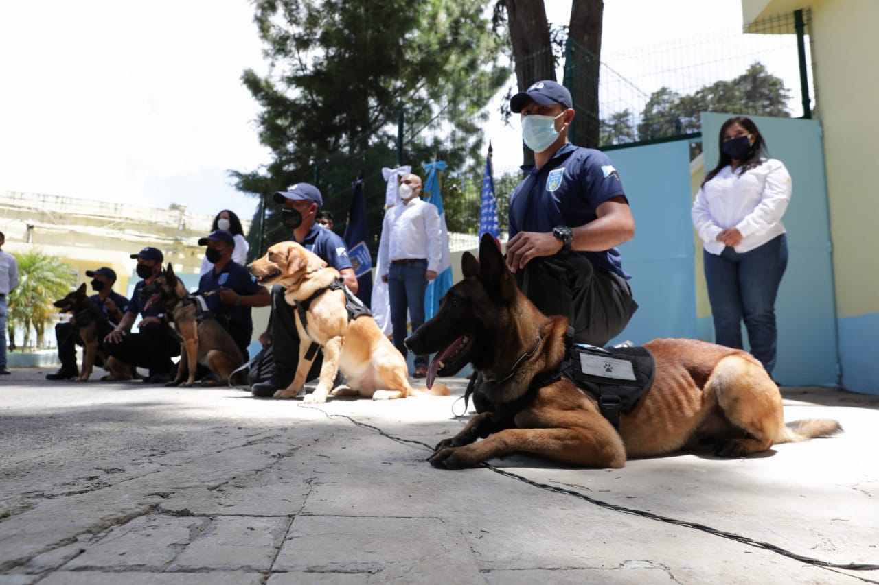 SBS cuenta con la primera unidad canina para evitar ingreso de productos ilícitos en sus centros