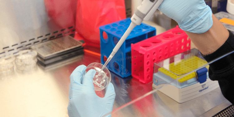Coronavirus pruebas 2