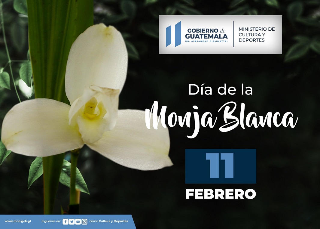 “Hermosa Monja Blanca, de las flores la monarca”