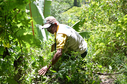 Conap conmemora el Día del Guardarrecursos