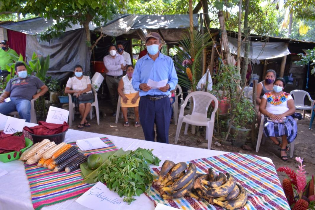 Comunidades de Quetzaltenango y Retalhuleu ejecutan proyectos de agricultura