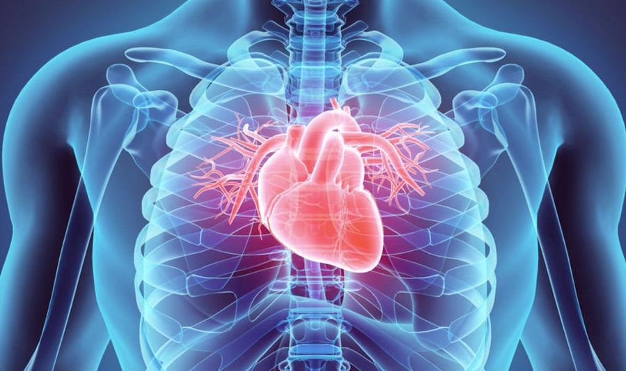 Conozca 10 consejos para prevenir enfermedades del corazón