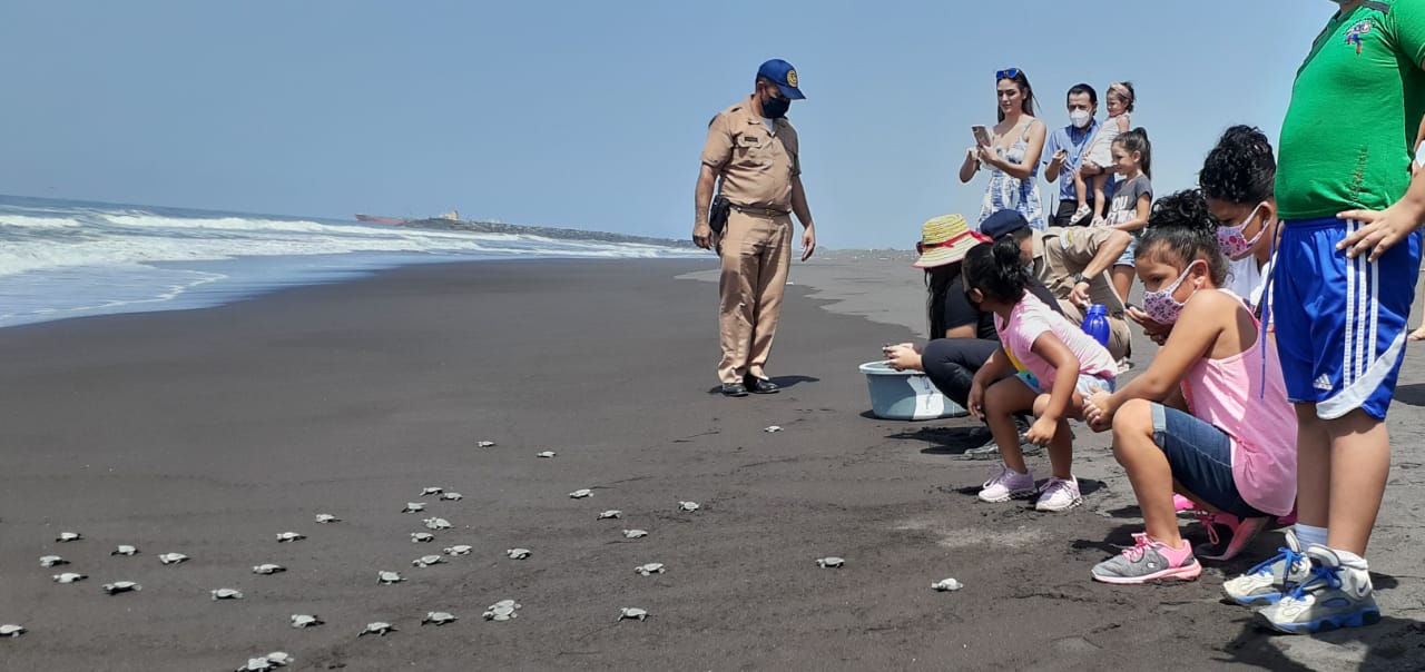 Acciones del Ejército de Guatemala promueven la conservación de la tortuga marina