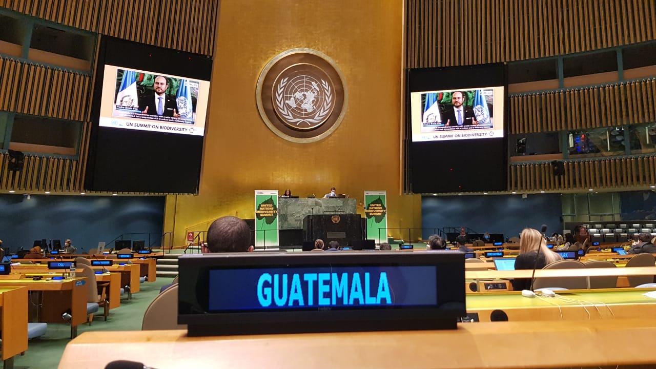 Canciller Pedro Brolo destaca conservación en cumbre de biodiversidad de las Naciones Unidas