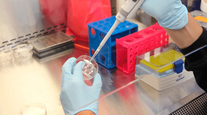Coronavirus