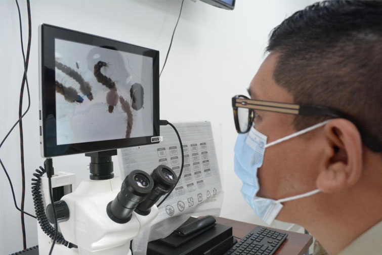 Salud fortalece Laboratorio Entomológico de Escuintla