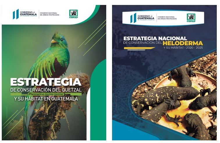 Qué acciones contemplan las estrategias de conservación del heloderma y del quetzal