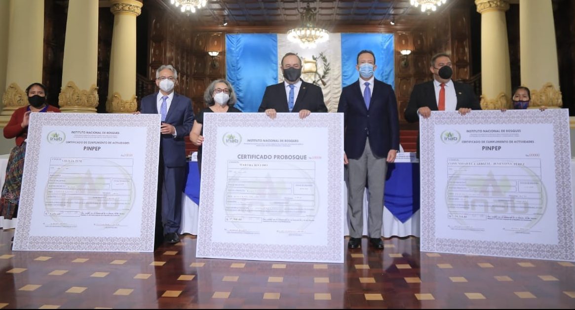 Incentivos forestales benefician a 60 mil 420 familias guatemaltecas