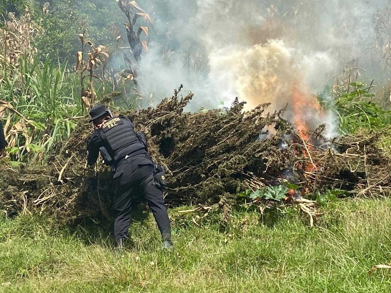 Acciones contra el narcotráfico permiten la erradicación de más de un millón de matas de marihuana