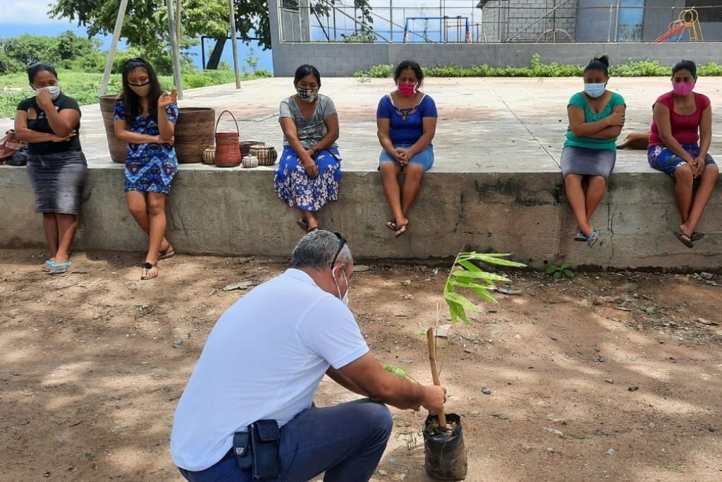 Capacitación de mujeres