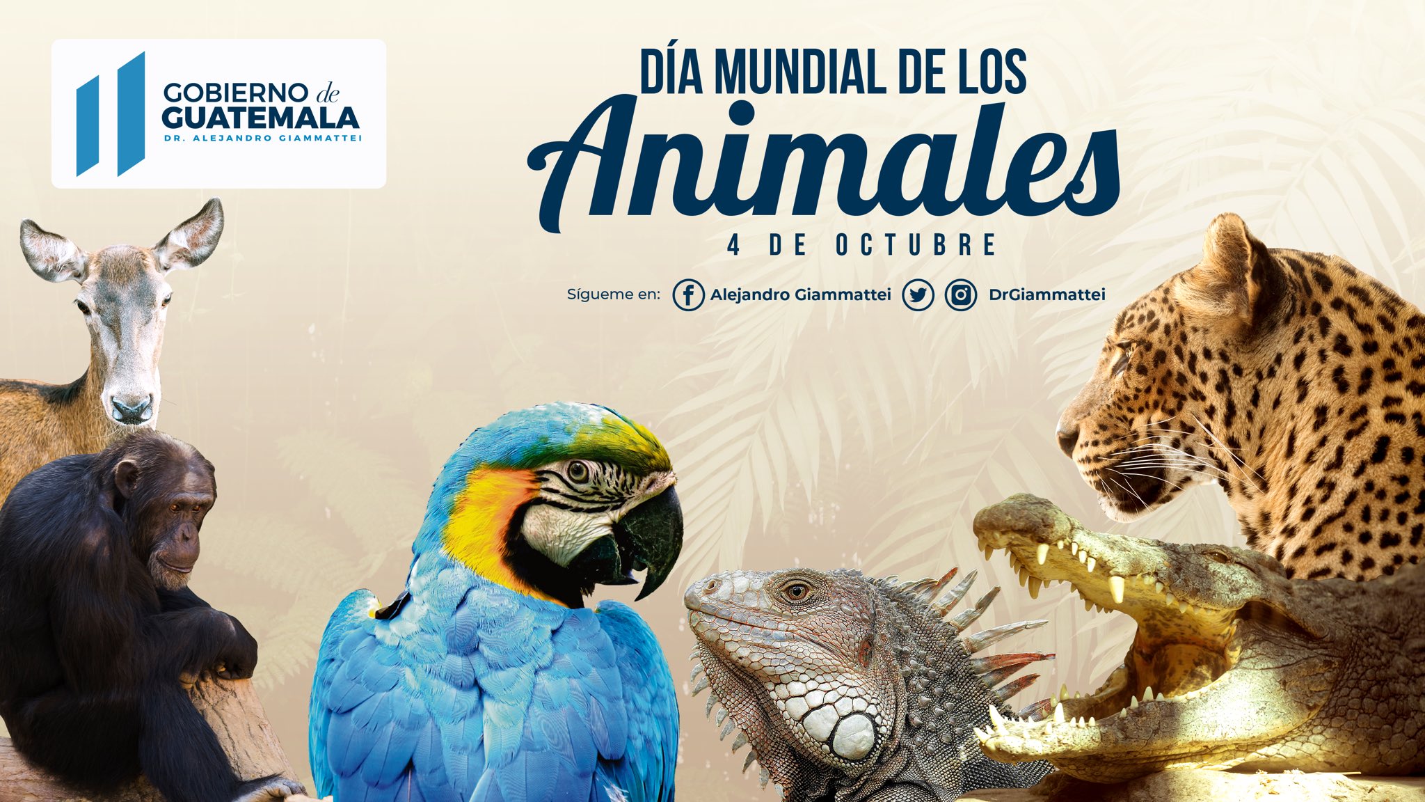 Presidente comparte mensaje por el Día Mundial de los Animales