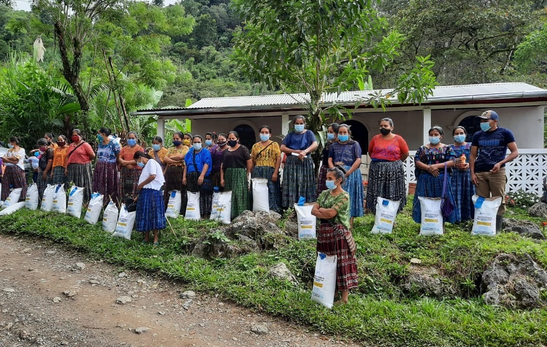 Más de 95 mil agricultores se benefician con semillas y pilones de diferentes especies