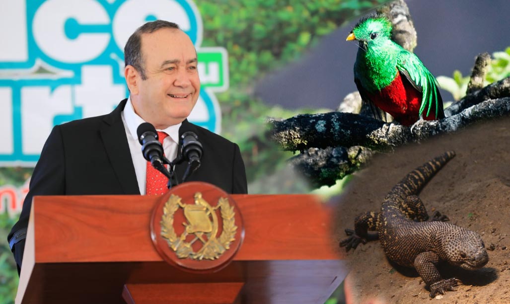 presidente Giammattei conservación de especies