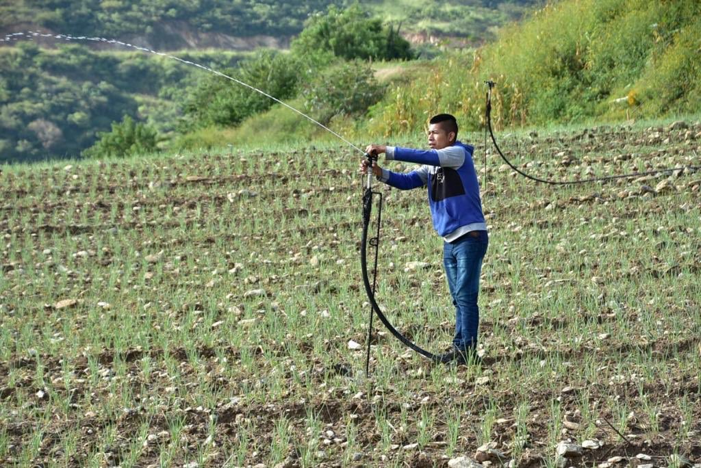 Jornada presidencial: Gobierno apoya al sector agrícola del país