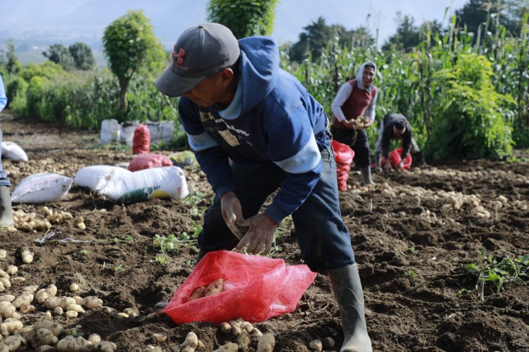 Guatemala contará con Gabinete Específico de Desarrollo Rural Integral
