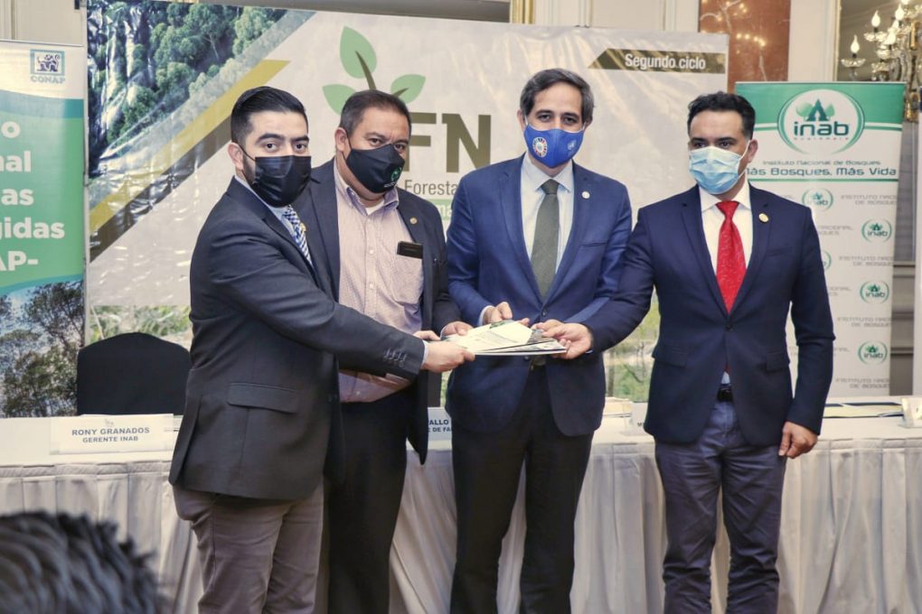Lanzan Inventario Forestal Nacional de Guatemala para recolectar datos sobre recursos forestales