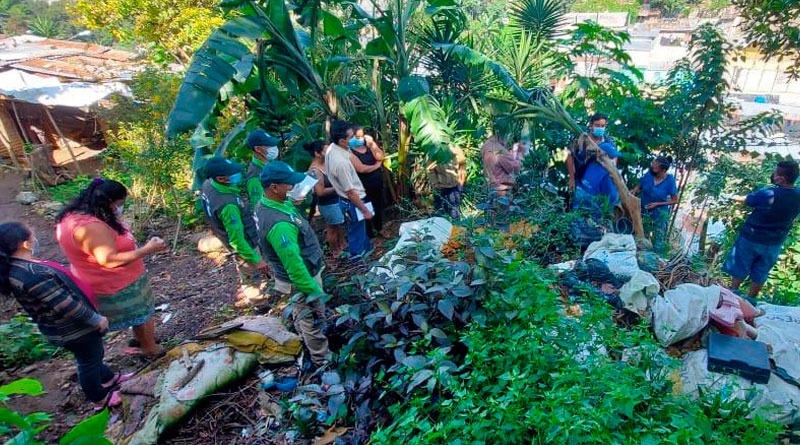 El medio ambiente, una víctima más de las guerras y conflictos armados