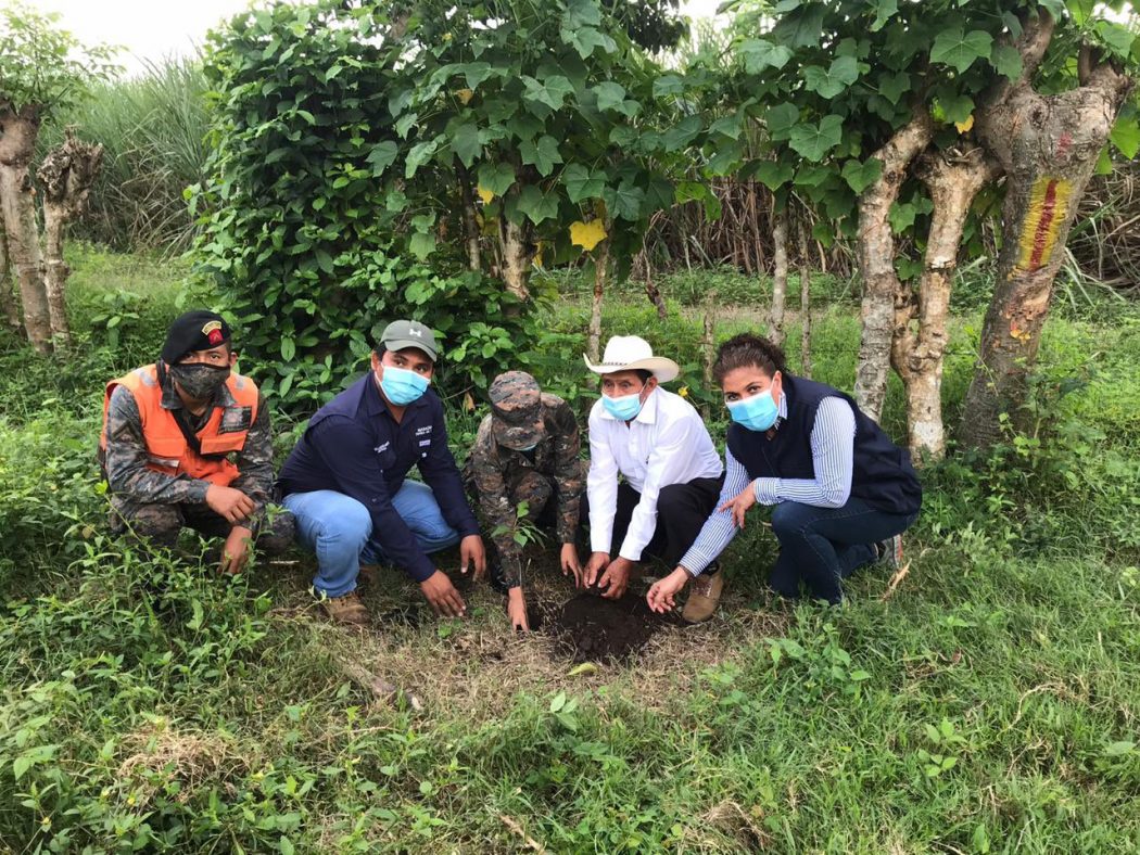 Ministerio de Ambiente promueve reforestación en Escuintla