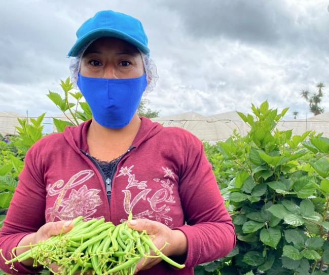 Cómo proteger los productos y cultivos ante las lluvias que se registran