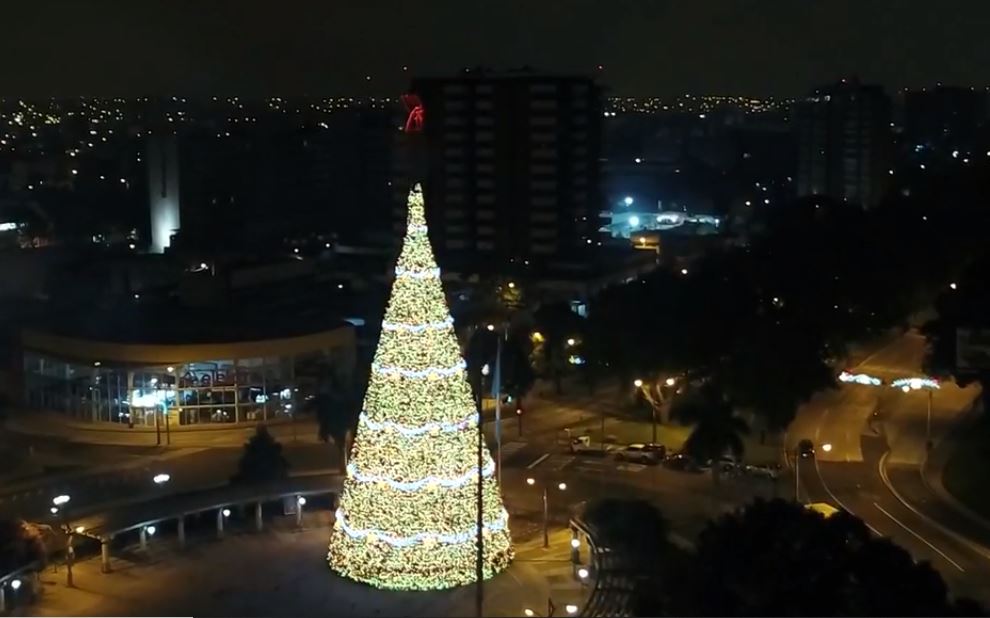 Festival Árbol Gallo marca el inicio de las fiestas de fin de año