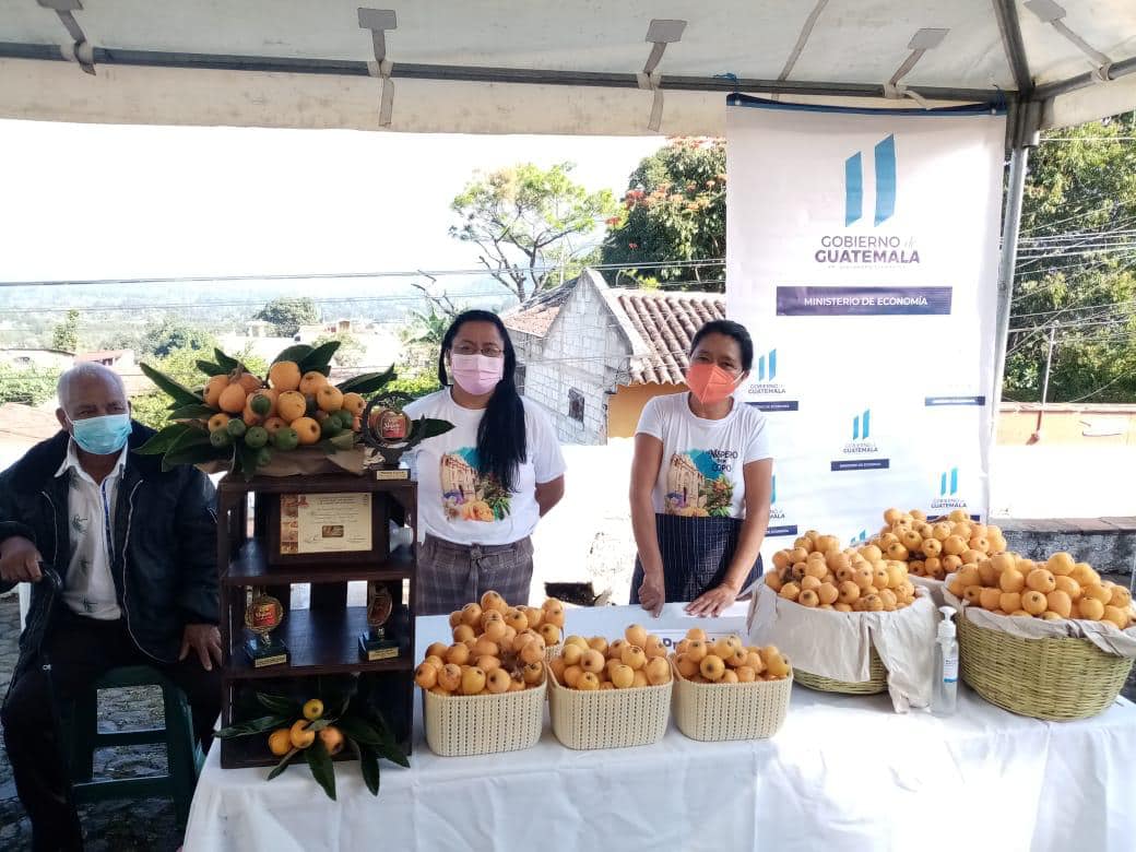 Promueven la comercialización del níspero en Sacatepéquez