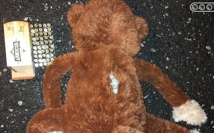 Oso de peluche