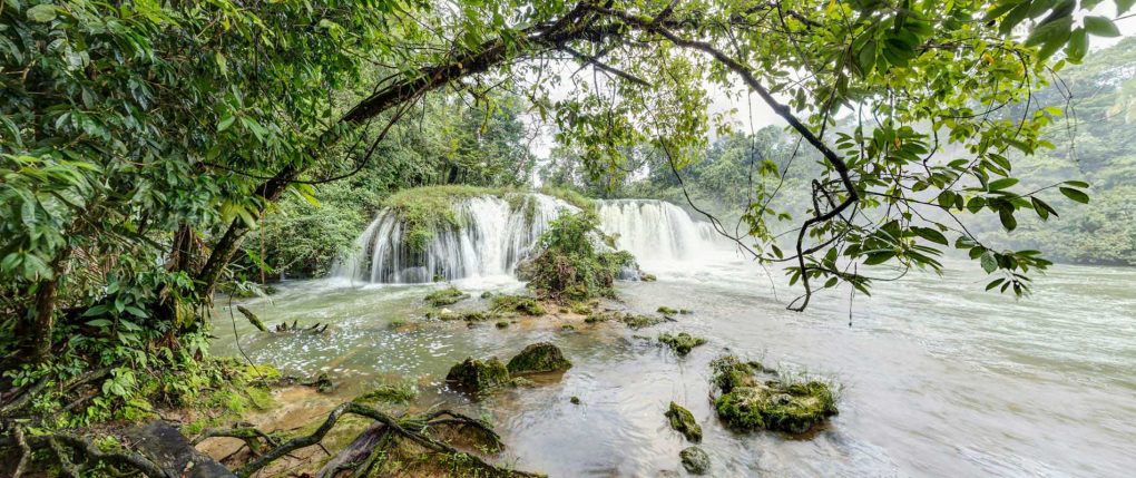 Convocan a participar en concurso Protector de la Naturaleza de la Tierra Chajil Uwachulew