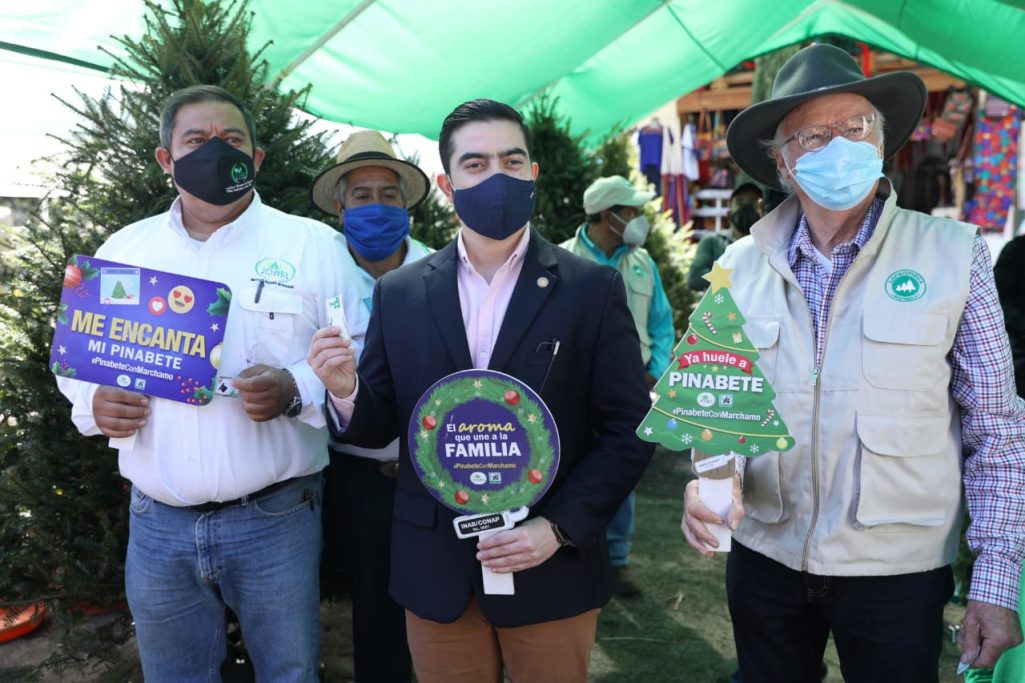 Inauguran ferias del pinabete en Guatemala