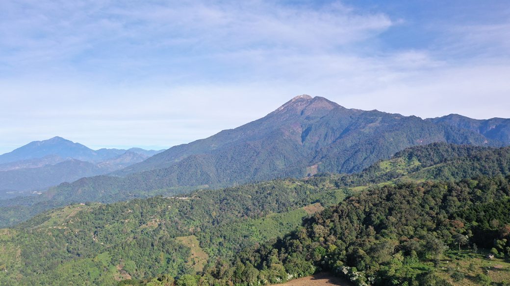 Día Internacional de las Montañas motiva a celebrar la alta biodiversidad en estas áreas