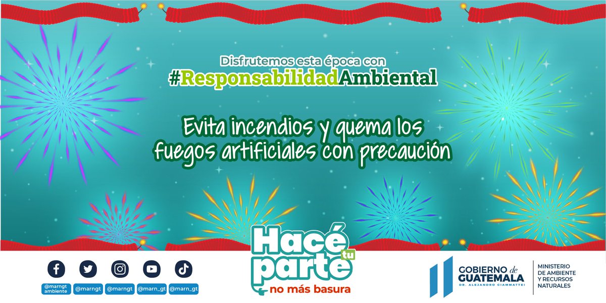 Conozca las recomendaciones para cuidar el ambiente durante fiestas de fin de año