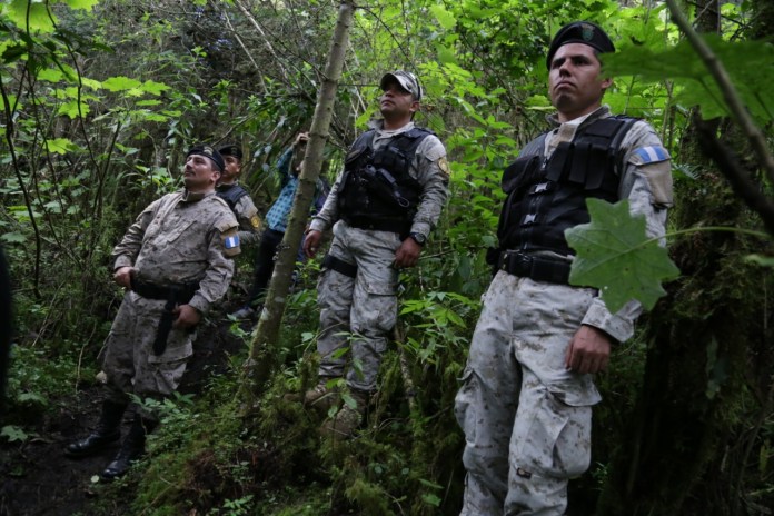 Delegaciones de Diprona mantienen operativos a nivel nacional