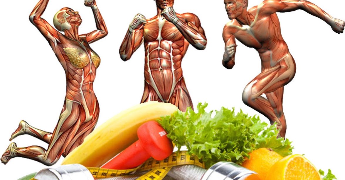 Conozca los hábitos alimenticios de los atletas de alto rendimiento