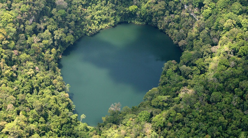 En enero comenzará levantamiento de datos para crear Inventario Forestal Nacional de Guatemala