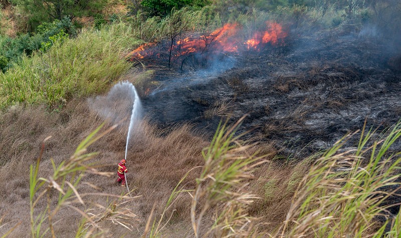 Comienza la temporada de incendios forestales 2020-2021