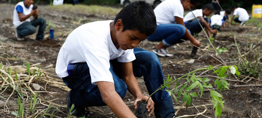 Conap hace llamado a cuidar el medio ambiente en Día Mundial de la Educación Ambiental