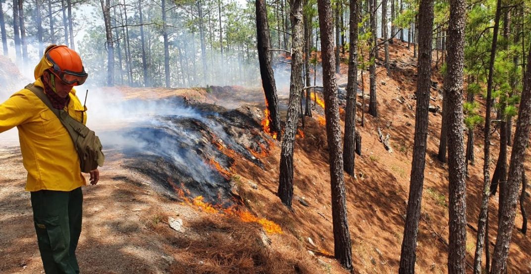 Lanzan campaña para prevenir incendios forestales