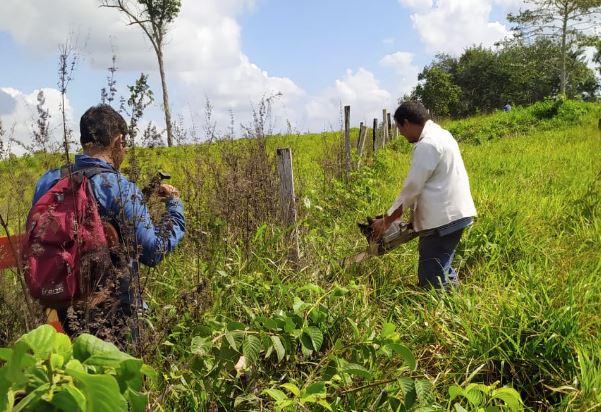 Recuperan 90 hectáreas de la Reserva de la Biósfera Maya