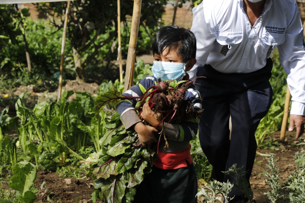 Obtienen primera cosecha de huerto comunitario en San Juan Sacatepéquez