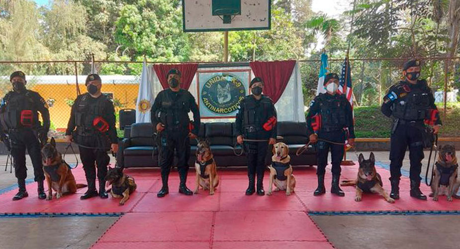 Agentes antinarcóticos rinden homenaje a elementos K-9 que pasan a situación de retiro