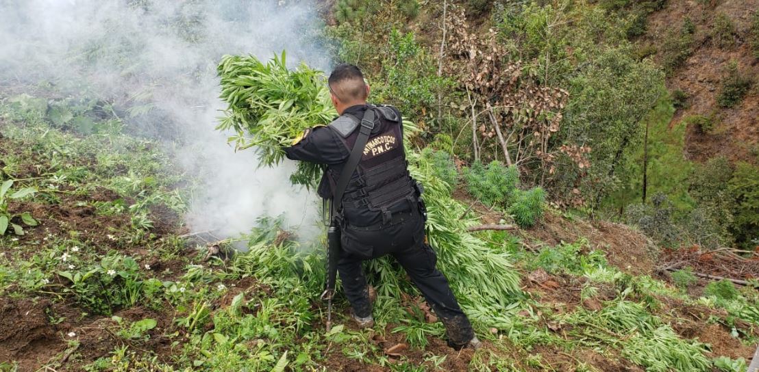 Policía Nacional Civil comparte avalúo millonario por incautaciones y decomisos al narcotráfico