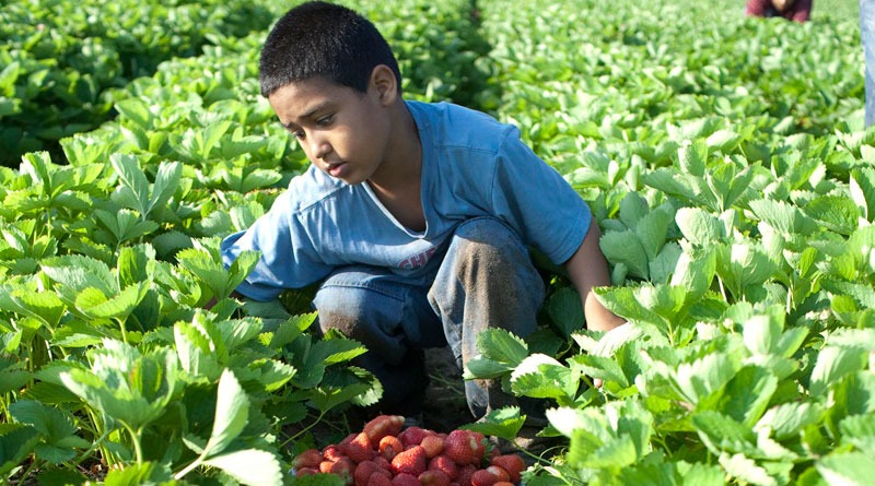 2021, el año para la erradicación del trabajo infantil en el mundo