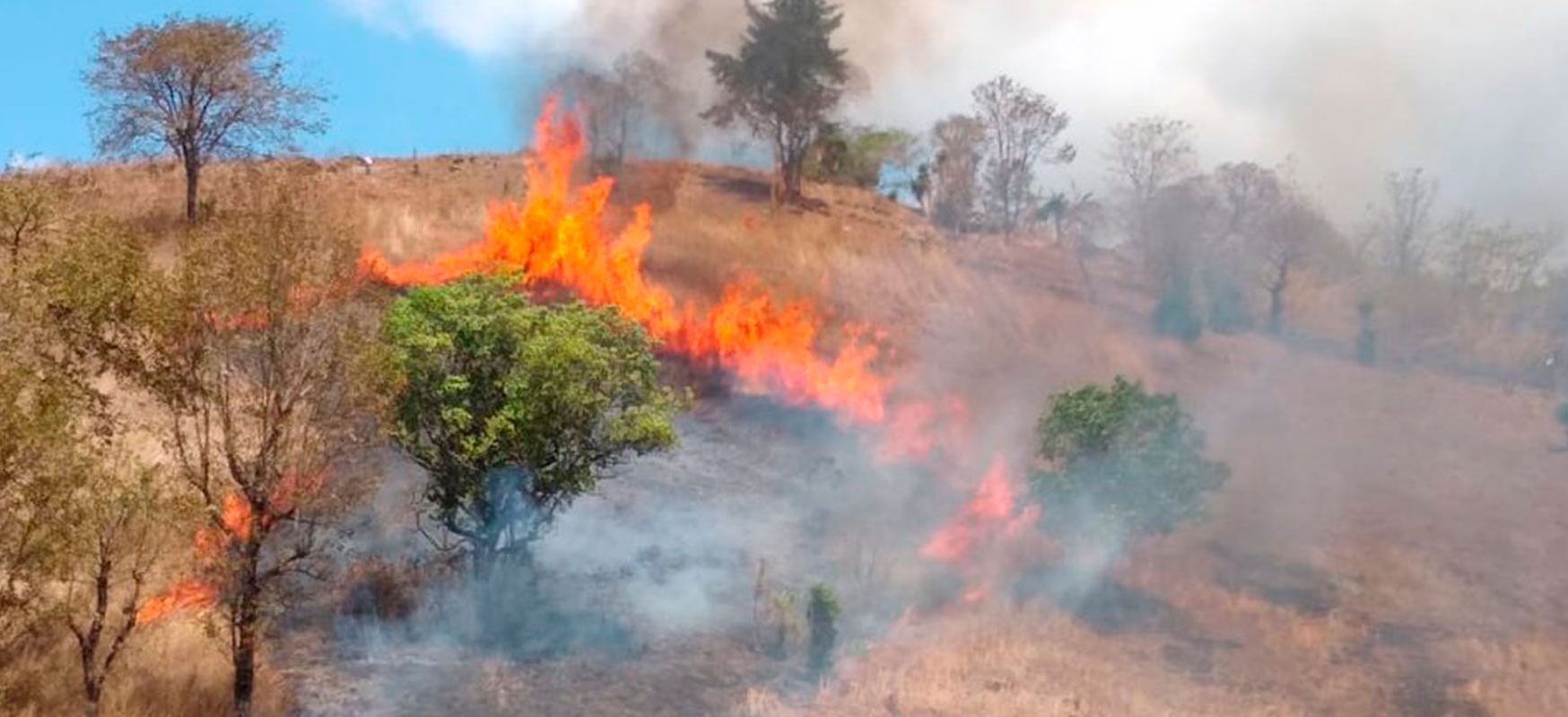 Autoridades llaman a informar sobre incendios forestales para evitar tragedias