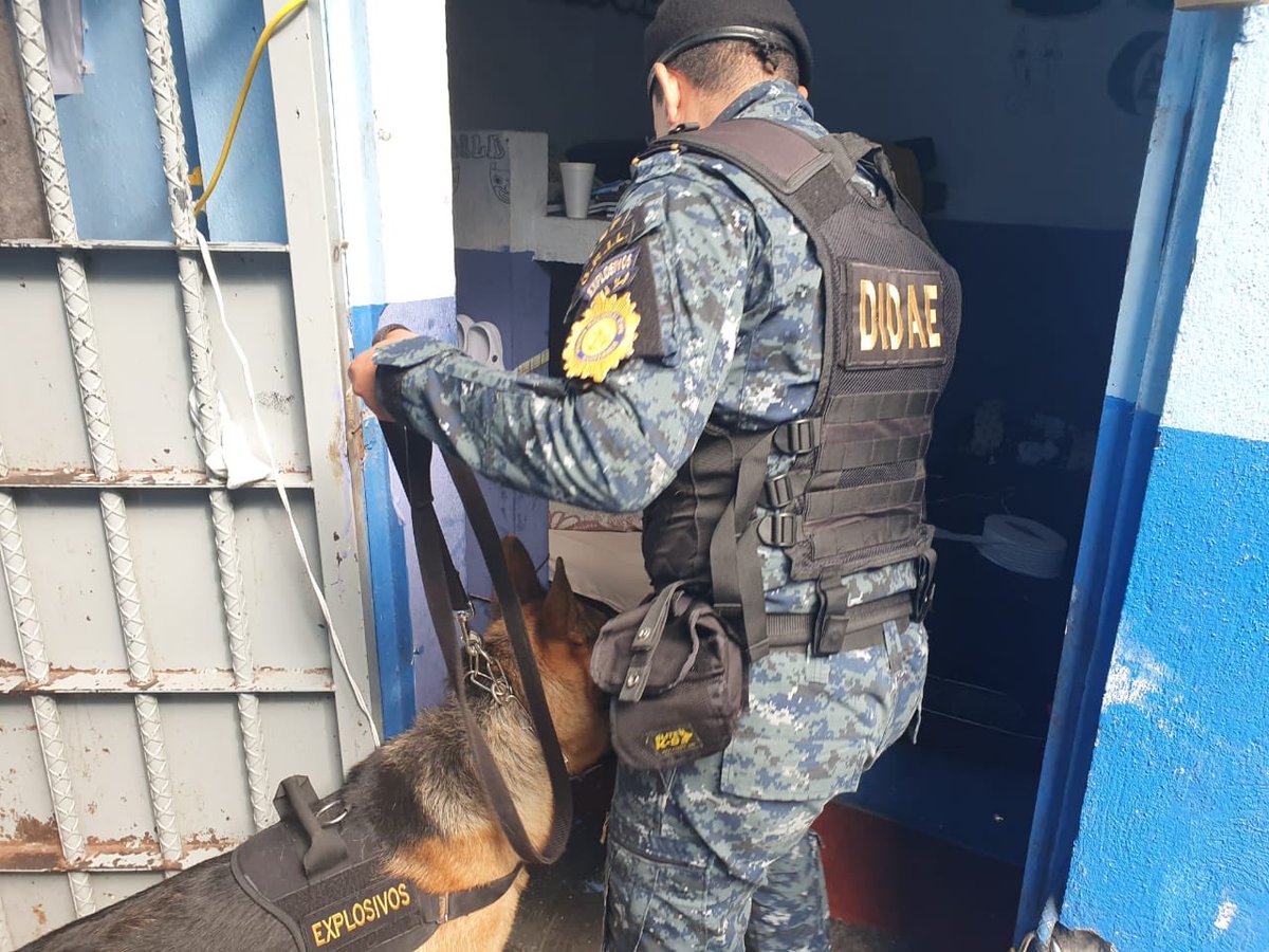 operativos con agentes K-9