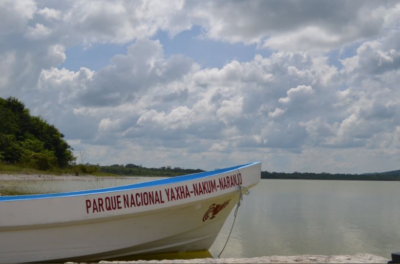 Primer Informe de Gobierno: En 2020 se brindó protección al medio ambiente