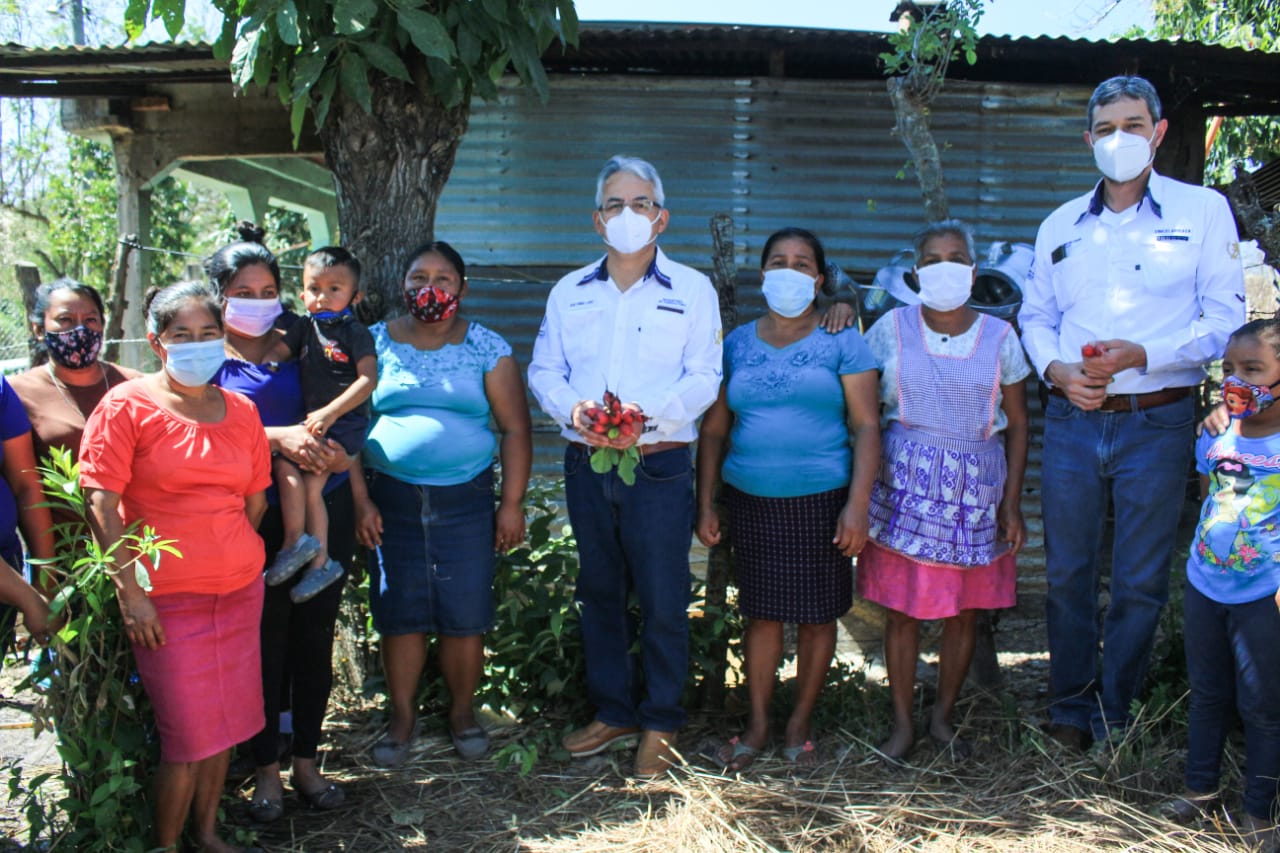 Supervisan entrega de alimentos y huertos familiares en Jalapa