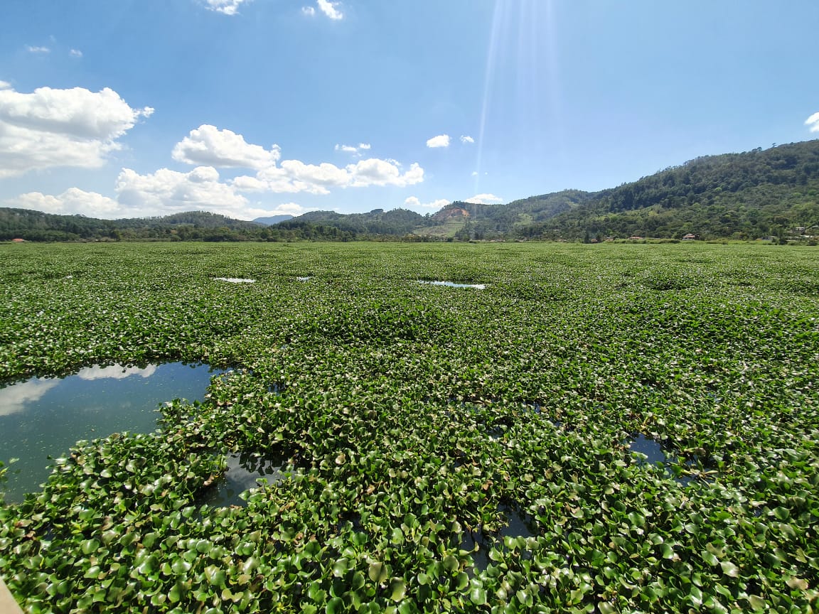 Integran mesa técnica para proteger la laguna Chichoj