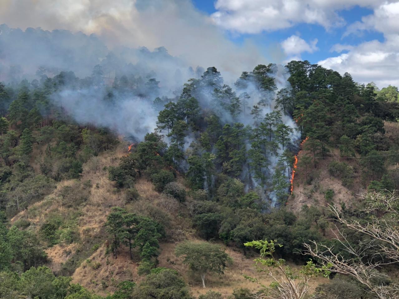Conred informa acerca del incremento de los incendios forestales