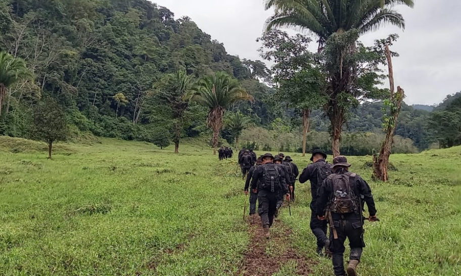 Policía Nacional Civil erradica plantaciones de hoja de coca